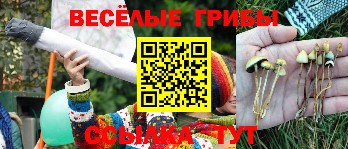 Псилоцибиновые грибы Psilocybine cubensis Дзержинск