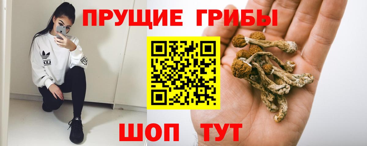 Галлюциногенные грибы мухоморы  Вход с VPN  Дзержинск  Галлюциногенные грибы Cubensis 